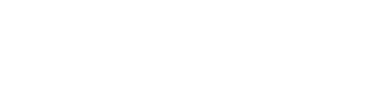 Secure Standards GmbH Logo — Sicherheitsdienst Frankfurt